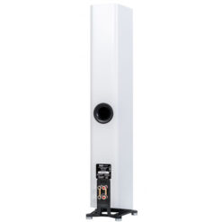 Elac Carina 247.4 põrandakõlarid - Pilt 4