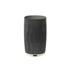 Bowers & Wilkins Formation Flex juhtmevaba Wi-Fi kõlar