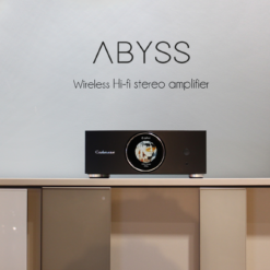 Cabasse Abyss striimiv võimendi - Pilt 5