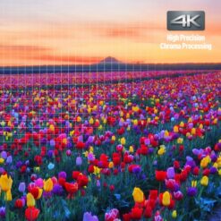 Panasonic DP-UB9000 auhinnatud Ultra HD Blu-ray mängija - Pilt 10