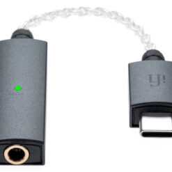 iFi audio GO link kompaktne DAC/kõrvaklapivõimendi - Pilt 2