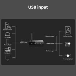 FiiO BR13 Bluetooth-ressiiveri ühendusvõimalused