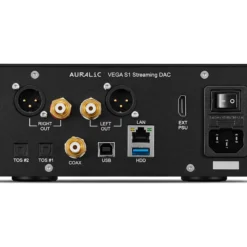 Auralic Vega S1, tagapaneel ja ühendused