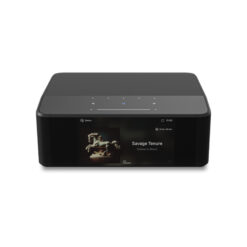 BlueSound ICON (N530) striimer