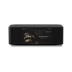 BlueSound ICON (N530) striimer
