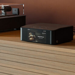 BlueSound ICON (N530) striimer