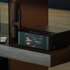 BlueSound ICON (N530) striimer