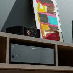 BlueSound ICON (N530) striimer