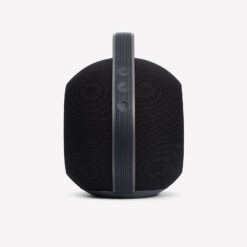Devialet MANIA kaasaskantav juhtmevaba Bluetooth/WiFi kõlar