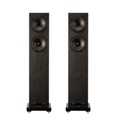Fyne Audio F501E põrandakõlarid
