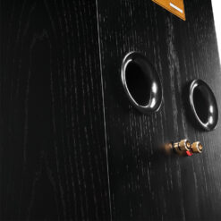 Wharfedale Super Linton suured riiulikõlarid