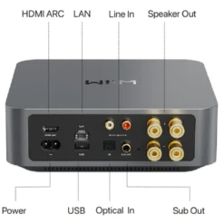 Wiim AMP tagapaneel