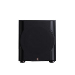 Perlisten R10s subwoofer