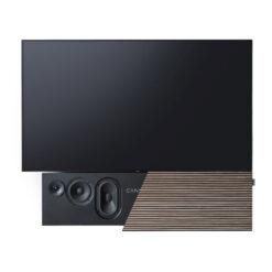 Auhinnatud Canvas Hifi Soundbar