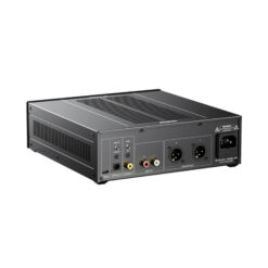 FiiO Warmer DAC ja eelvõimendi tagapaneel