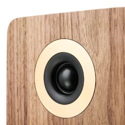 Argon Audio Forte A55 WIFI aktiivsed põrandakõlarid