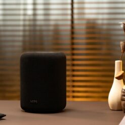 WiiM Sound Lite nutikas Wi-Fi-kõlar