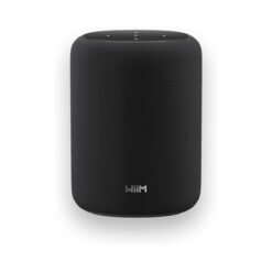 WiiM Sound Lite nutikas Wi-Fi-kõlar