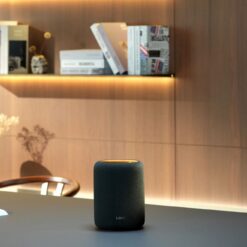WiiM Sound Lite nutikas Wi-Fi-kõlar