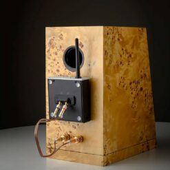 Pro-Ject Wireless Box E ülimalt kompaktne ja auhinnatud striimiv helivõimendi